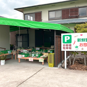 駐車場看板＆店舗内サイン＆幟